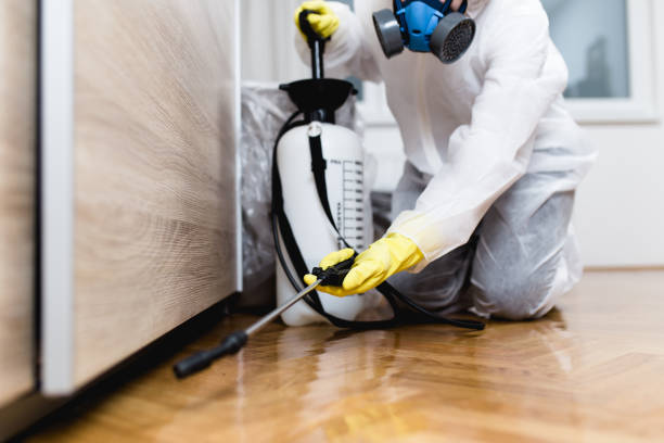 Best Pest Prevention Services  in Castalia, OH