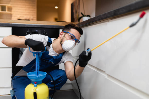 Best Termite Control Services  in Castalia, OH