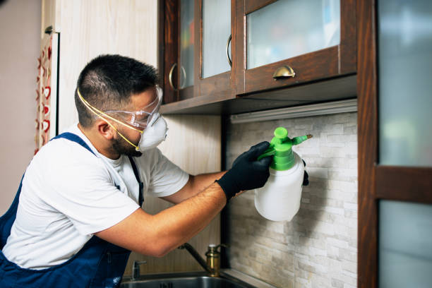 Best Pest Removal Services  in Castalia, OH