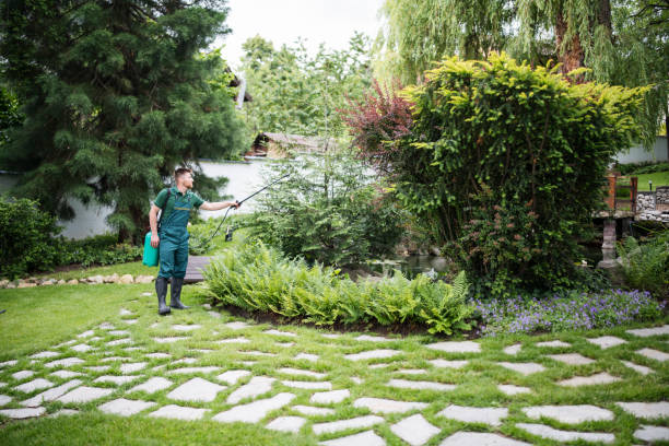 Best Pest Inspection Near Me  in Castalia, OH