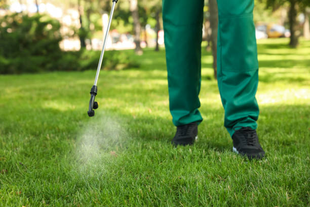 Best Best Pest Control Companies  in Castalia, OH