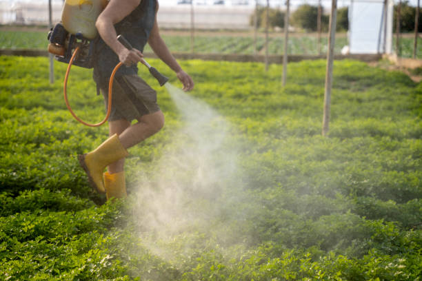Best Wildlife Control Services  in Castalia, OH