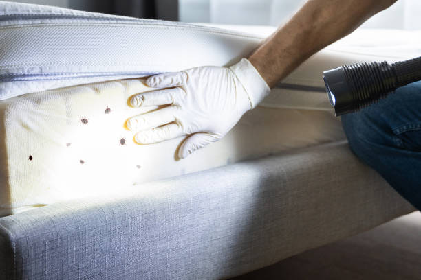  Castalia, OH Pest Control Pros