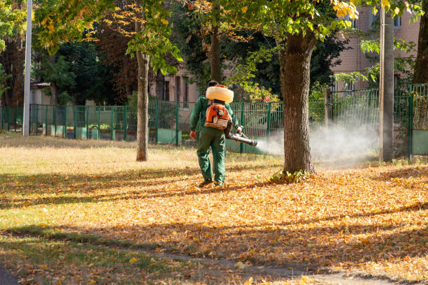 Best Flea Control Services  in Castalia, OH