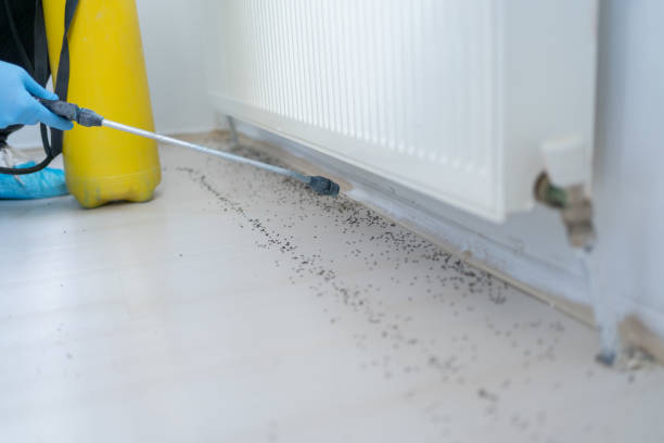 Best Best Pest Control Companies  in Castalia, OH