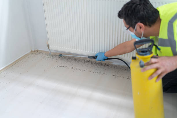 Best Best Pest Control Near Me  in Castalia, OH