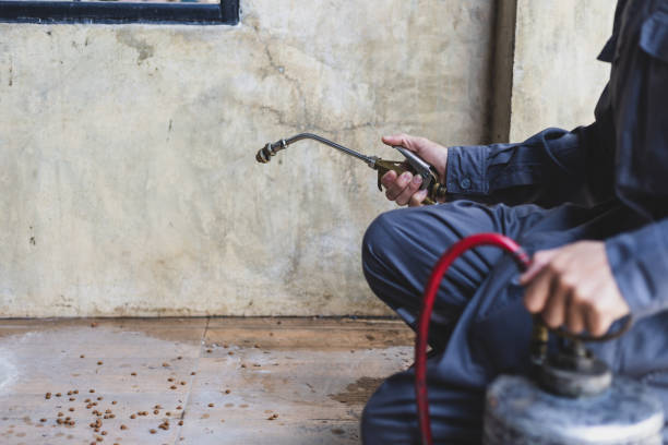 Best Affordable Pest Control Services  in Castalia, OH